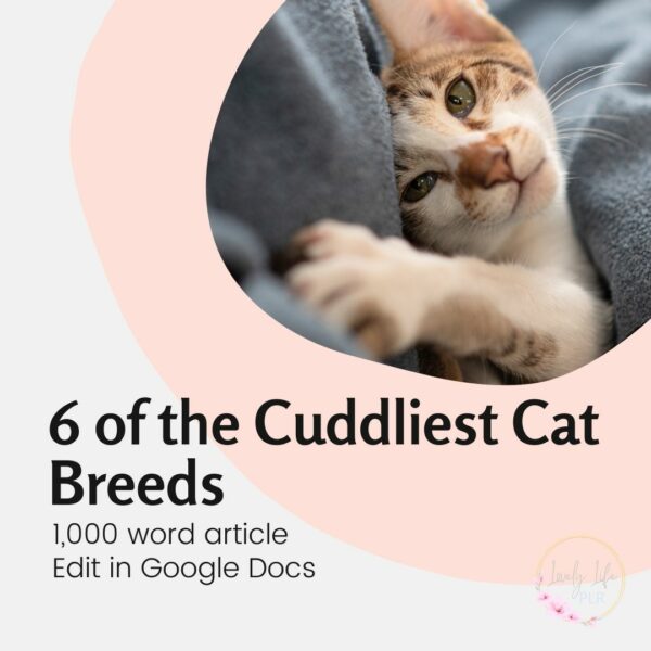 cuddliest cat breeds PLR article for bloggers
